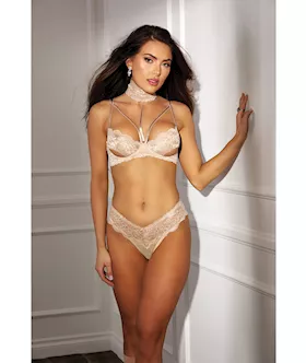 Absolutely Beautiful Stretch Lace Collard Bra amp Panty Goes wSOH31549 Nude 38
